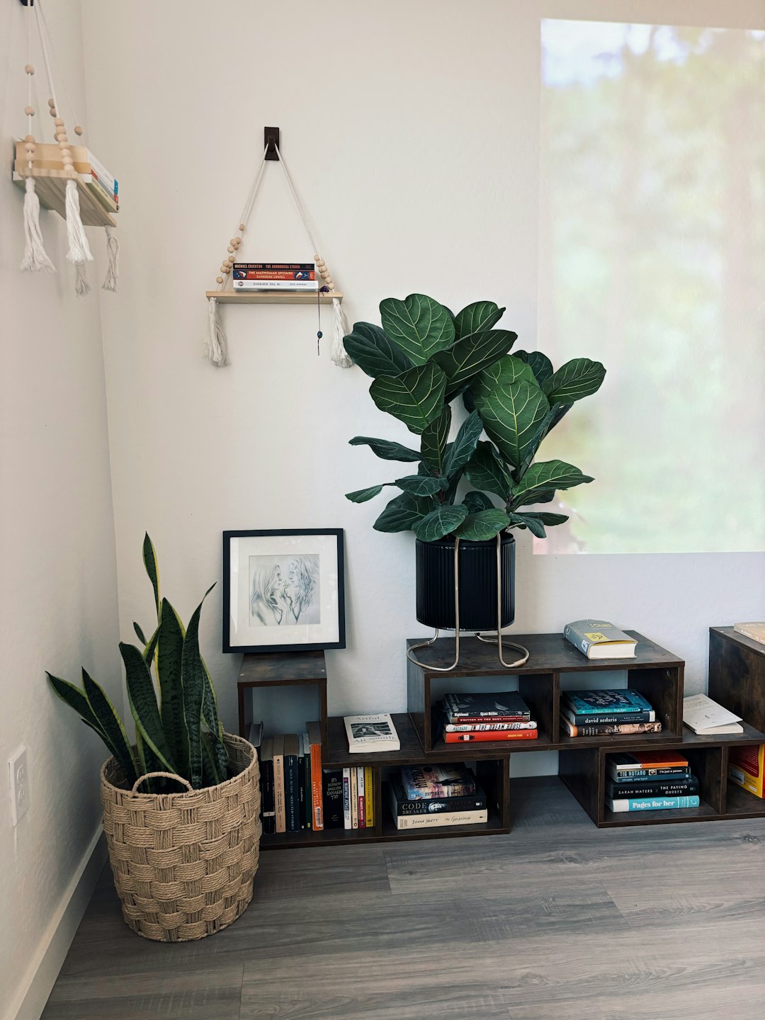 Libros en estantes de madera oscura con estantes colgantes de macramé y plantas.