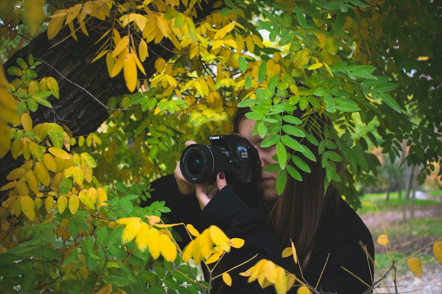 Persona tomando una foto a través de hojas de otoño.